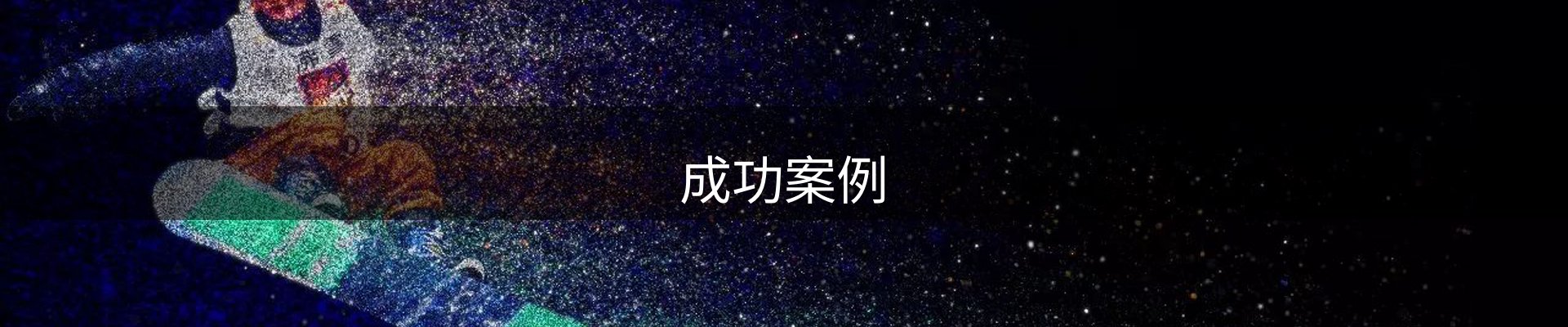 成功案例